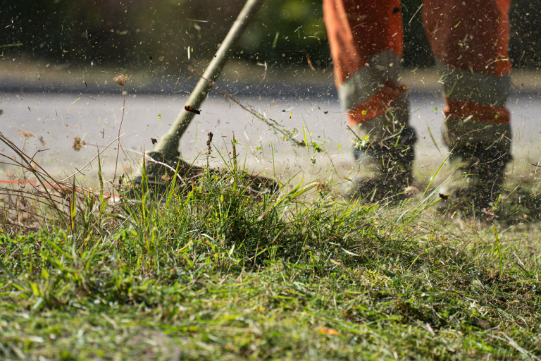 Light Yardwork